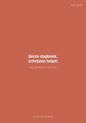 Ebook - Beste dagboek - Johan Van de Putte